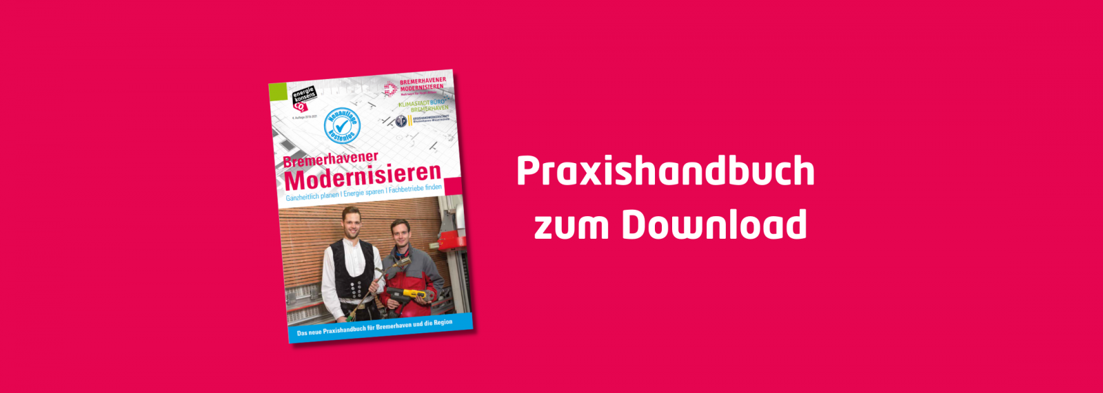 Cover-Teaser Praxishandbuch